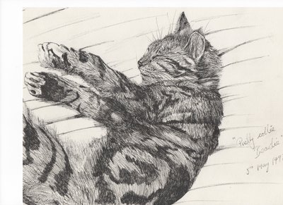 Pretty collie beastie, 1997 by Vincent Alexander Booth